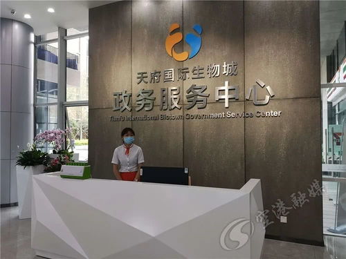 1號1窗1網(wǎng) 辦事省心更快捷 就在3天后